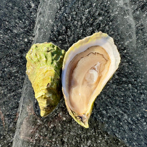 OYSTER FEATURE: North Haven Oysters, 36 ct.