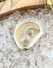 Load image into Gallery viewer, THANKSGIVING PRE-ORDER: Petite &amp; Signature Moondancer Holiday Bundle