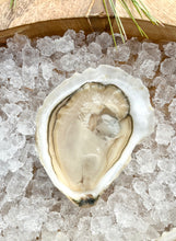 Load image into Gallery viewer, THANKSGIVING PRE-ORDER: Petite &amp; Signature Moondancer Holiday Bundle