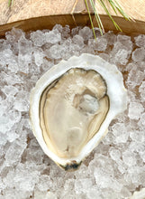 Load image into Gallery viewer, THANKSGIVING PRE-ORDER: Signature Moondancer Holiday Bundle