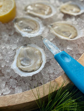 Load image into Gallery viewer, THANKSGIVING PRE-ORDER: Signature Moondancer Holiday Bundle