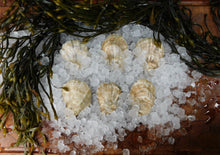 Load image into Gallery viewer, Petite Moondancer Oysters (2.5-3&quot;)