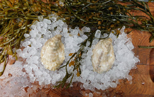 Select Moondancer Oysters (3.5-4")